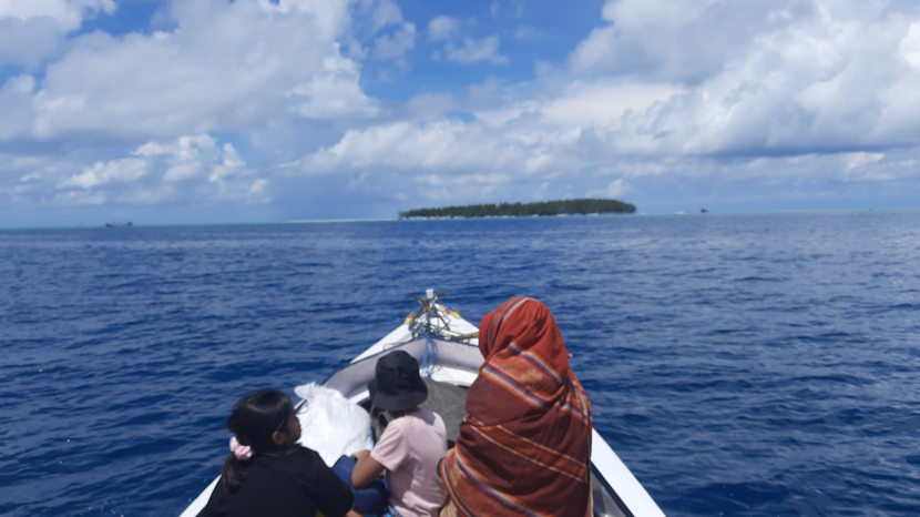 Tips Berwisata ke Pulau Bawean, Surga Tersembunyi di Jawa Timur