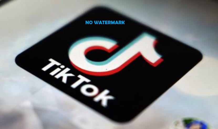 Download Video Tiktok tanpa Watermark, Gratis dan Gampang Sekali